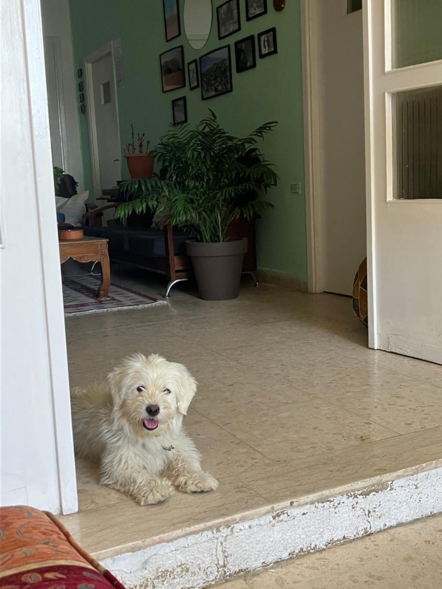 Darna Hostel Ammán Kültér fotó